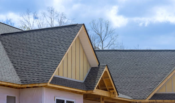 Best Roof Leak Repair  in Tonopah, NV