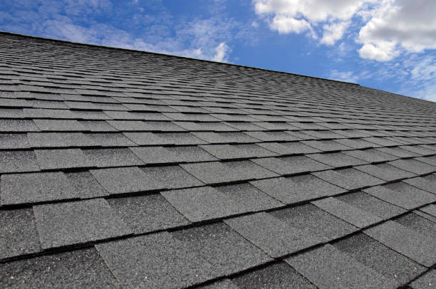 Best Roof Coating and Sealing  in Tonopah, NV